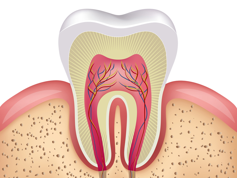 Root Canal Treatment